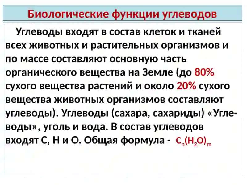Углеводы 3