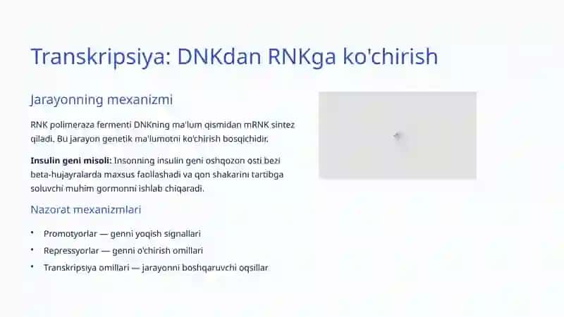 Gen ekspressiyasi 3