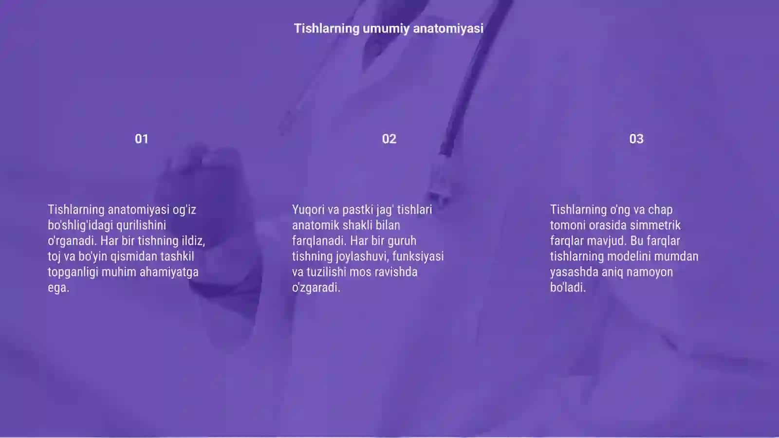 Tishlarning anatomiyasi va gistologiyasi 3
