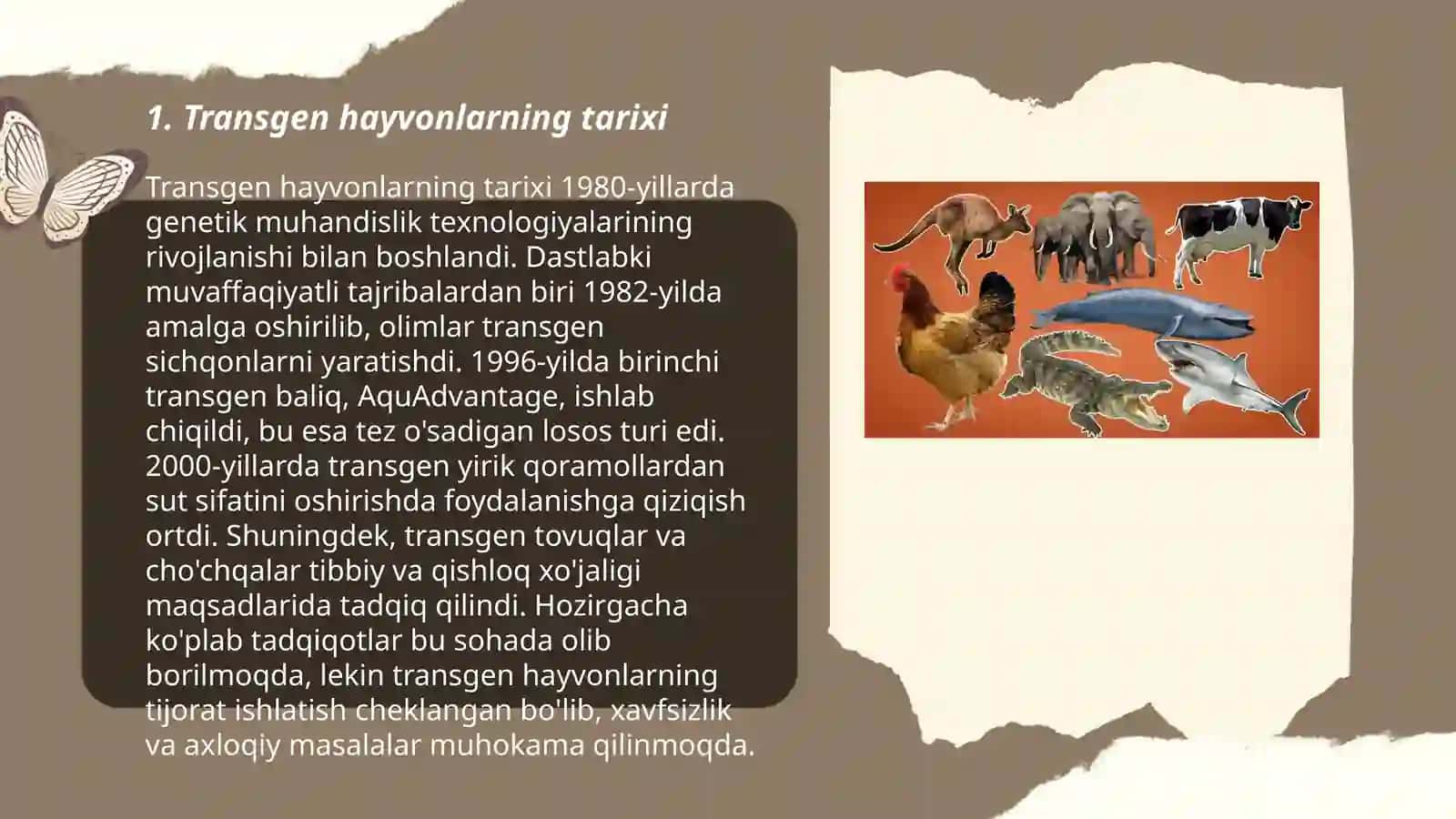 Transgen hayvonlar 3