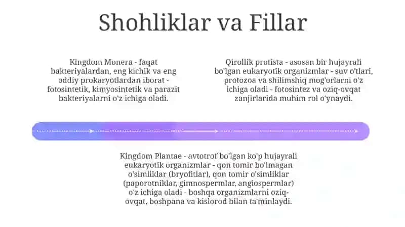 Hayvonot Olamining Hilma Hilligi 3