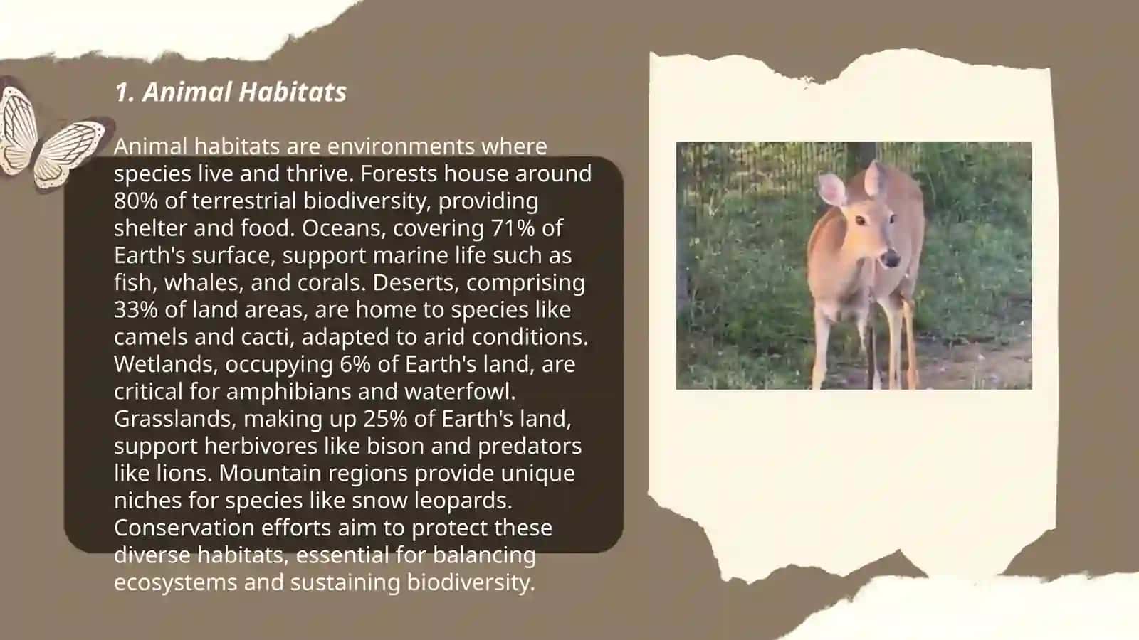 Animal Habitats 3