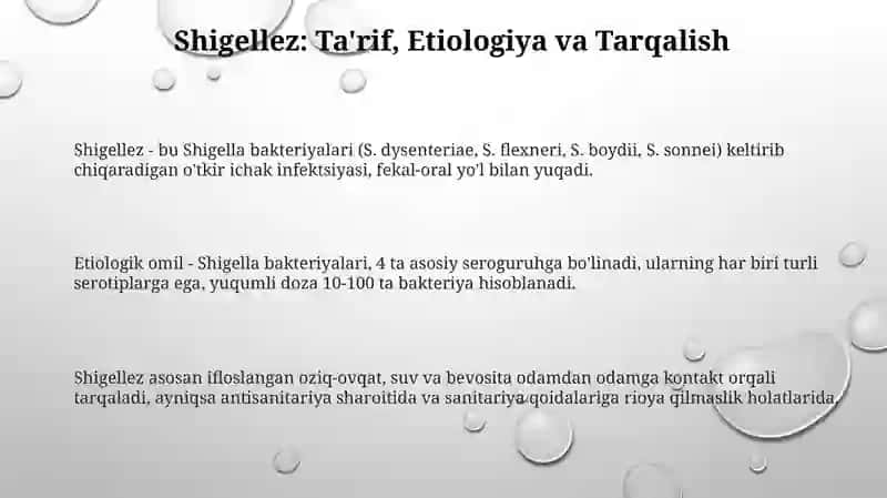 Shigellez: Epidemiologiya va Profilaktika 3