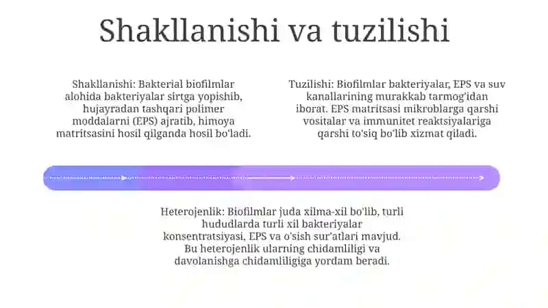Bakteriyalarning Bioplenkasi 3