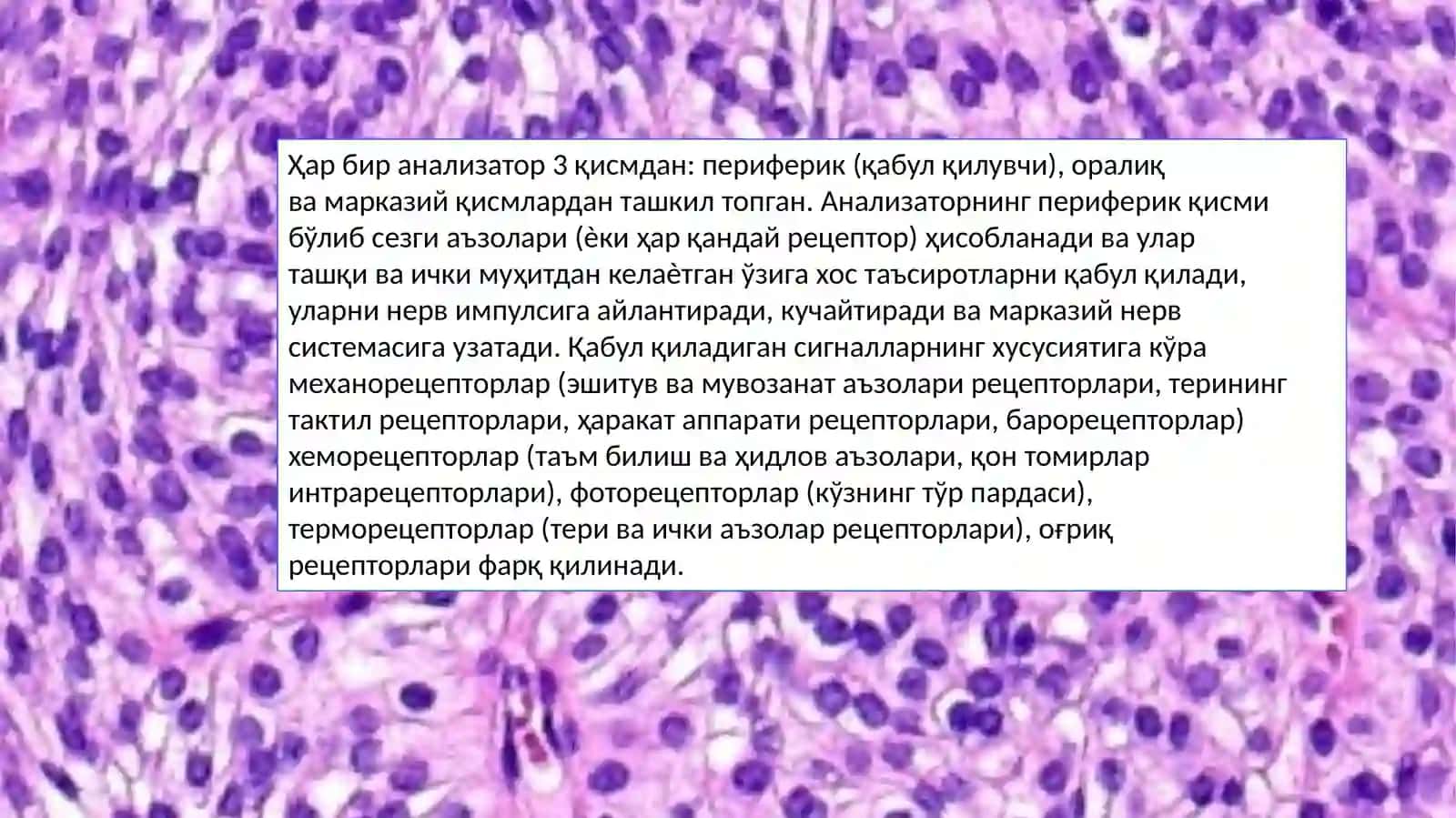 Sezgi аъзолари (Organa Sensuum) 3