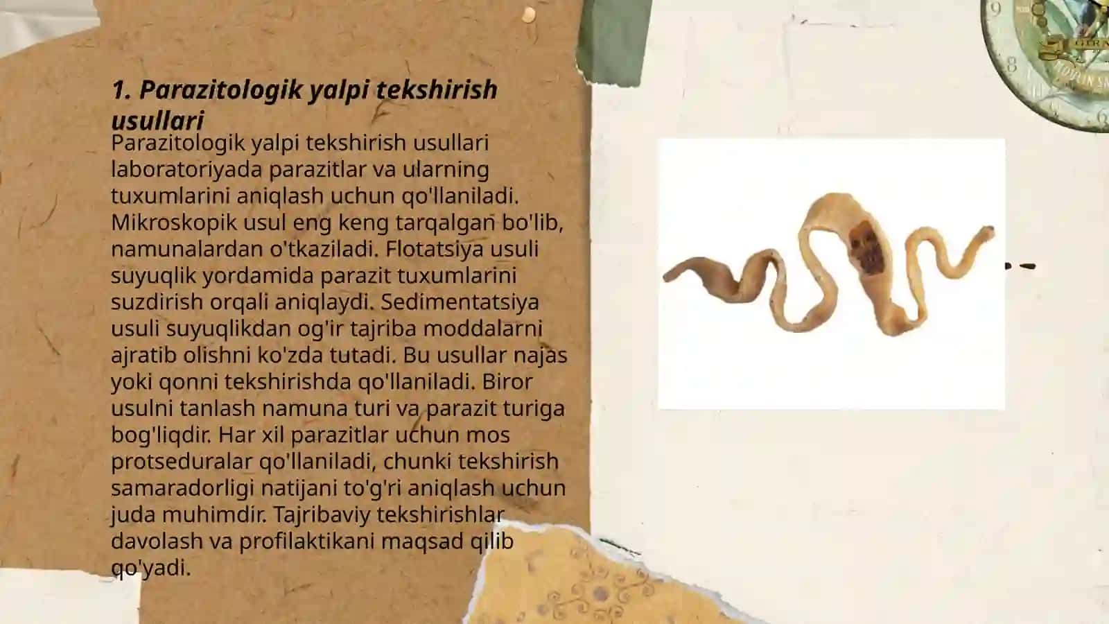 Parazitar kasalliklarning diagnostik usullari 3