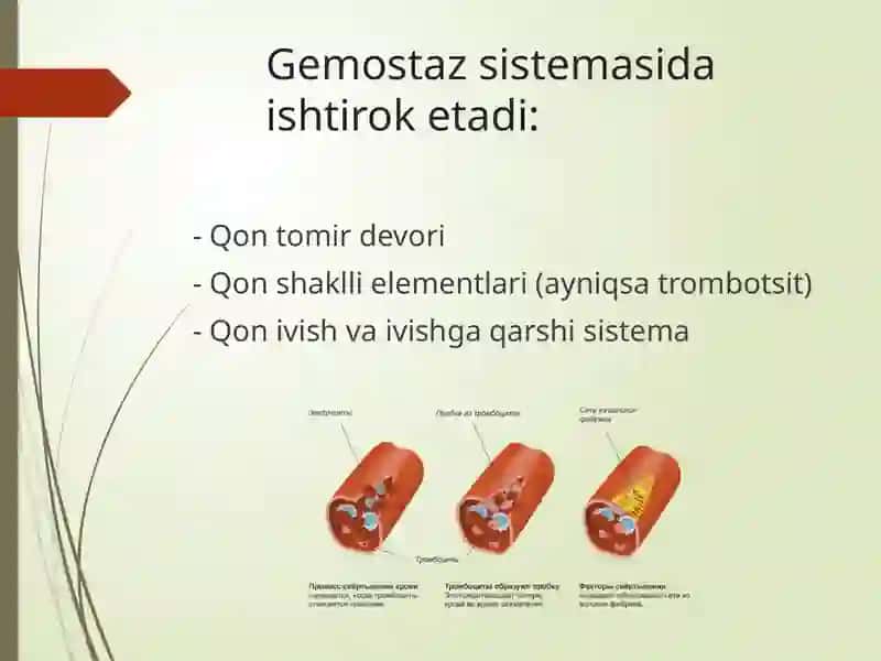 Gemostaz 3