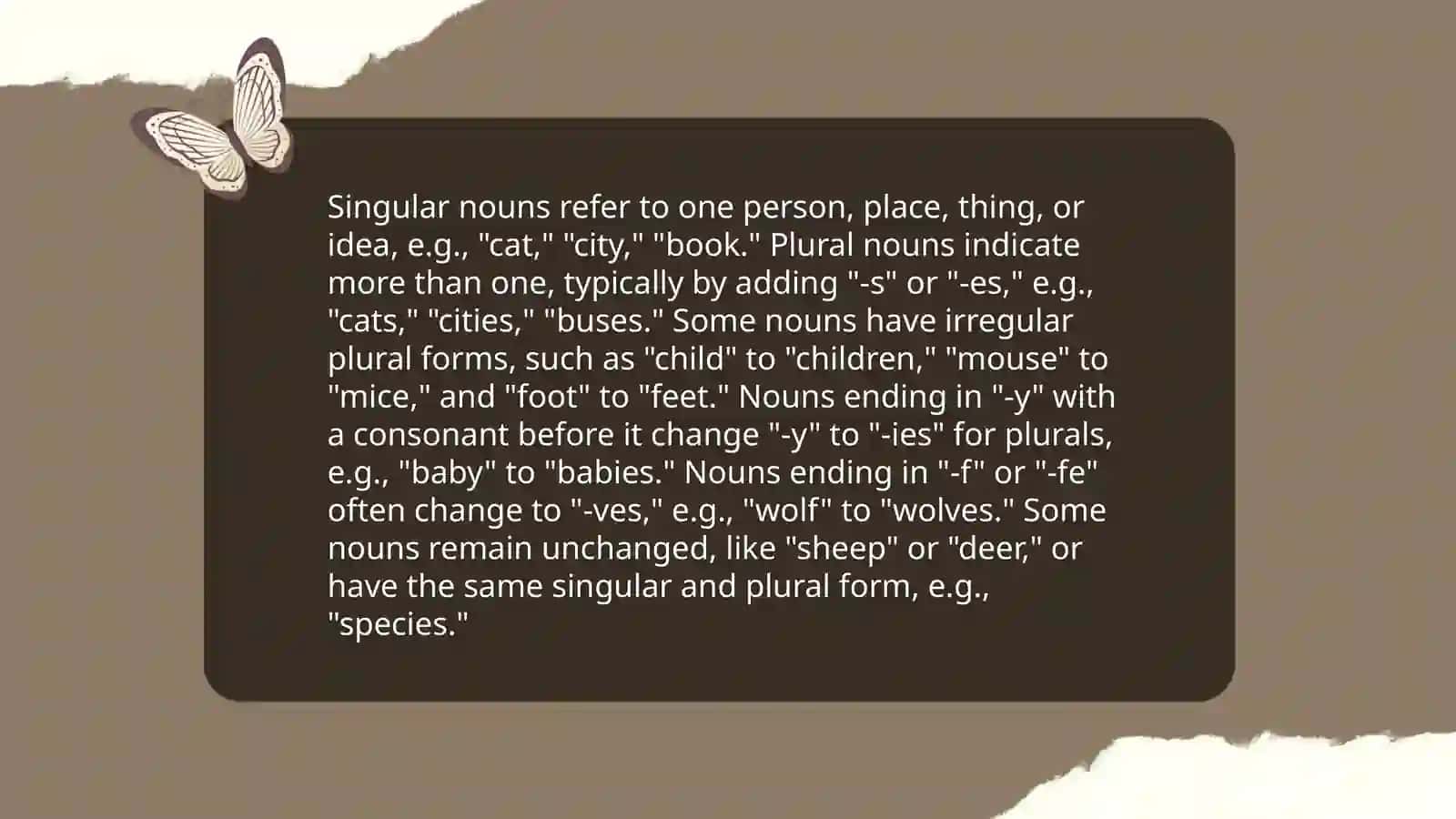Singular and Plural Nouns 3