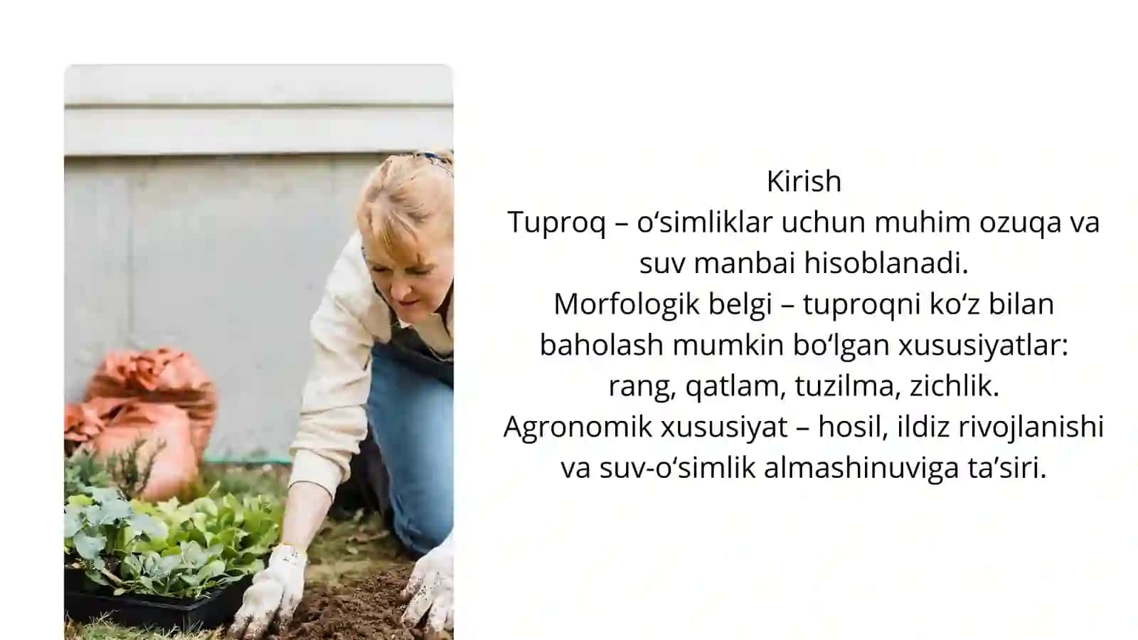 Tuproq morfologik belgilarining agronomik xususiyatlari 3
