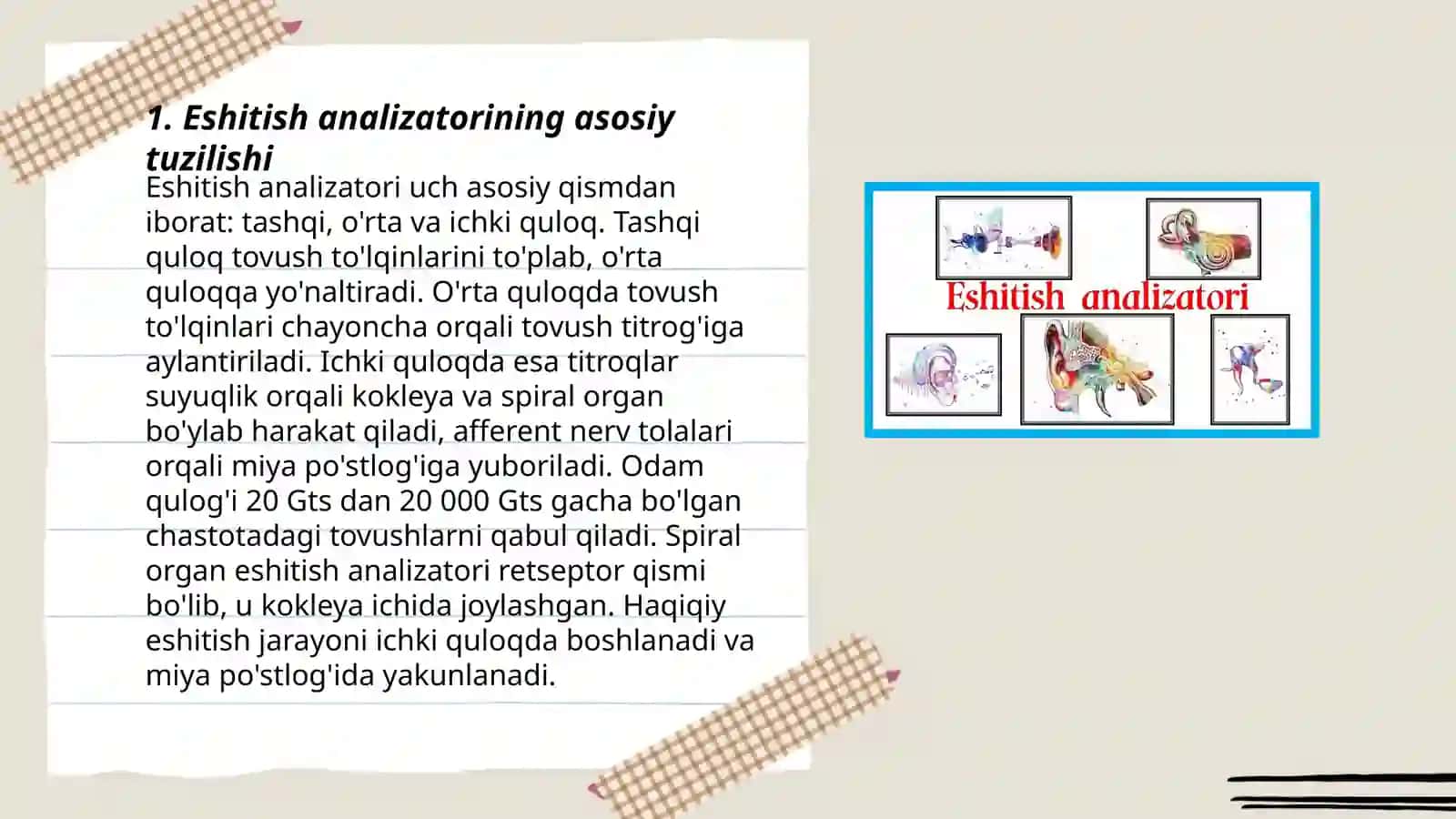 Eshitish analizatorining tekshirish usullari 3