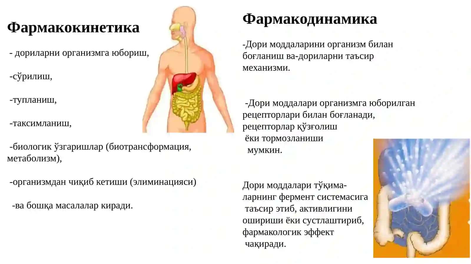 УМУМИЙ ФАРМАКОЛОГИЯ 3