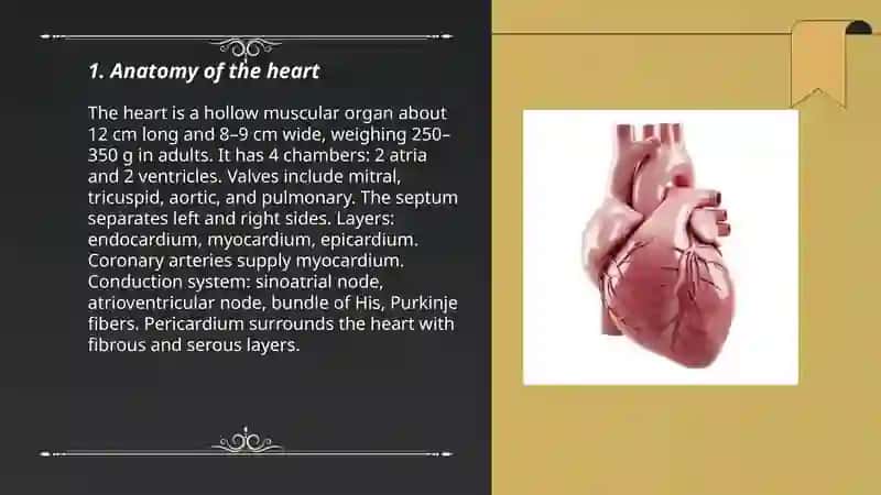 Heart 3