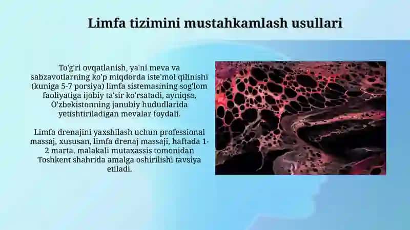 Limfa suyuqligi va limfa tizimlari vazifasi 3