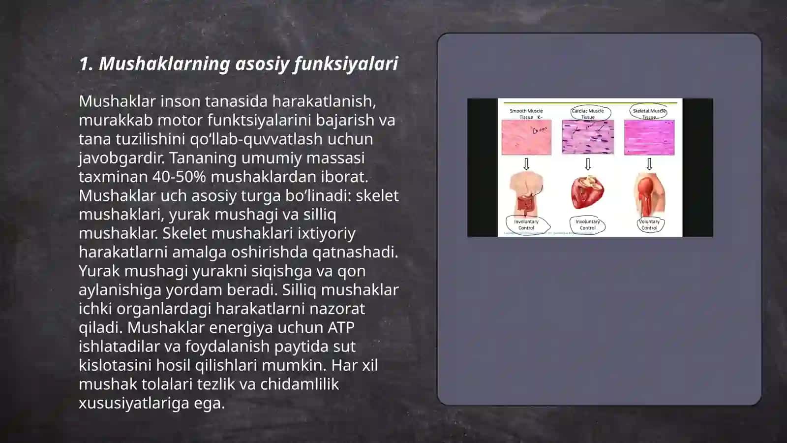 Mushaklar va ularning funksiyasi 3