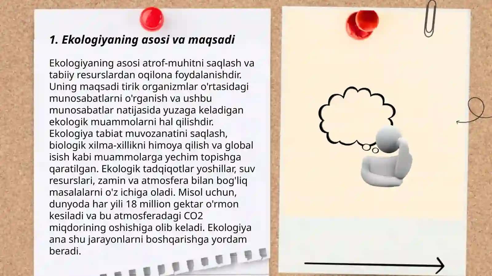 Ekalogiya haqida referat 3
