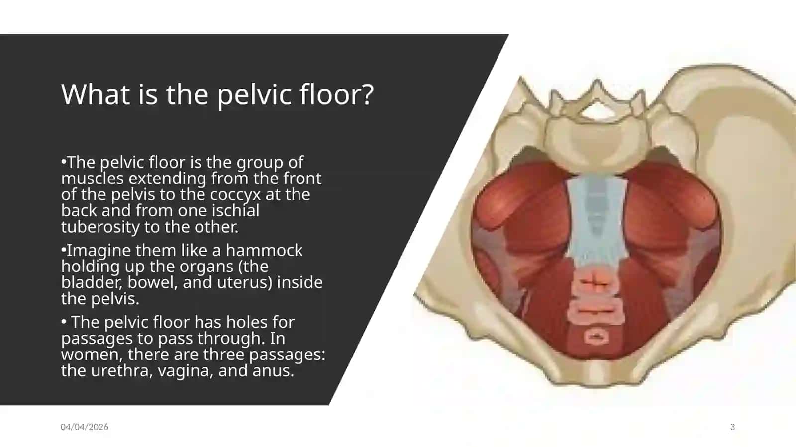 Pelvic Floor Injury 3