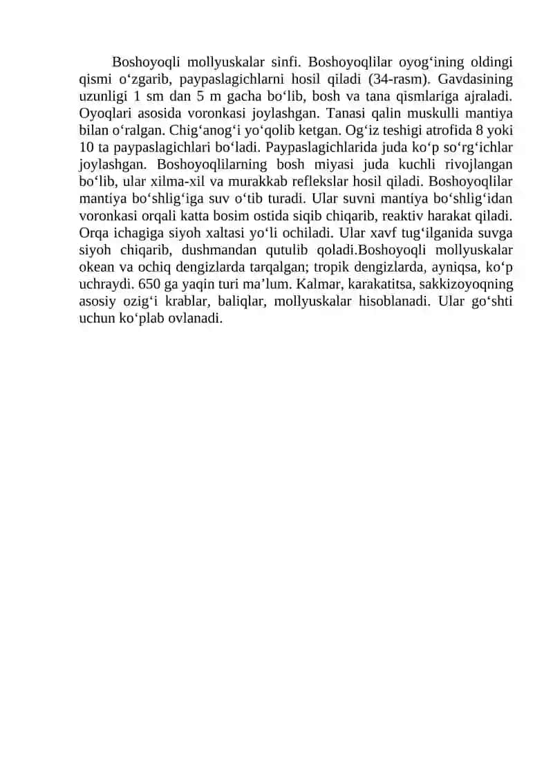 miomera sinifi - Boshoyoqli mollyuskalar (Cephalopoda) 3