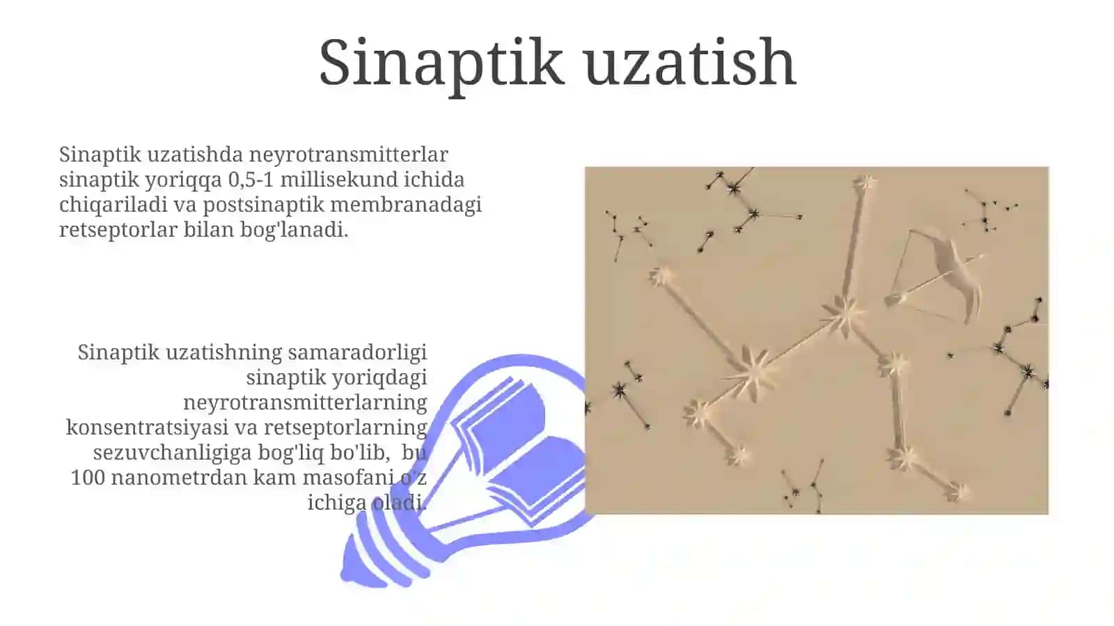 Neyronlarda nerv impluslarning hosil boʻlish mexanizmlari 3
