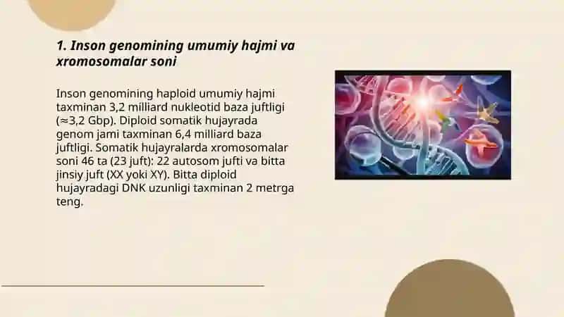 Inson genomining tuzilishi va xususiyatlari 3