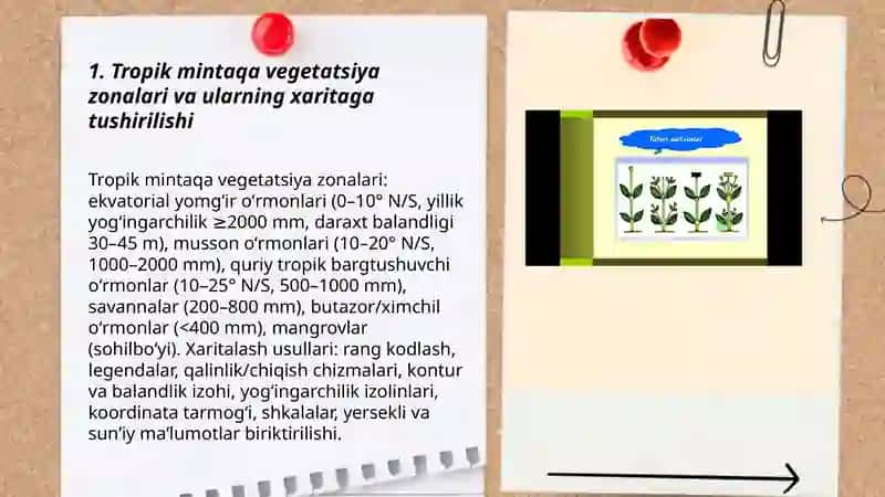 Tropik mintaqa oʼsimliklari haqida maʼlumot 3