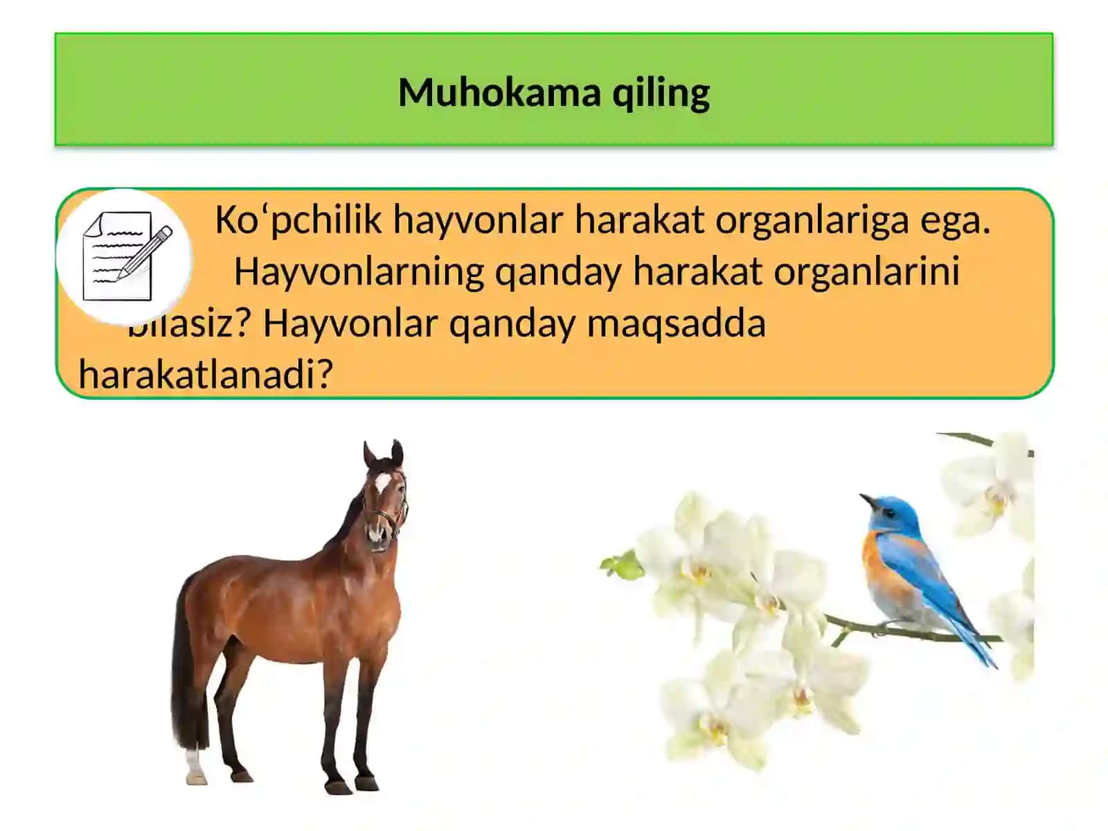 HAYVONOT DUNYOSI 3