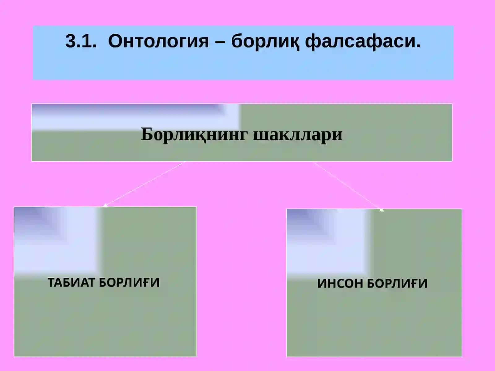 БОРЛИҚ ВА ТАБИАТ ФАЛСАФАСИ 3