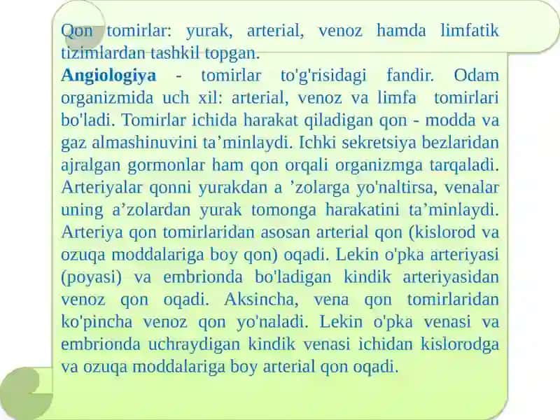 Yurak-qontomirlar tuzilishi 3