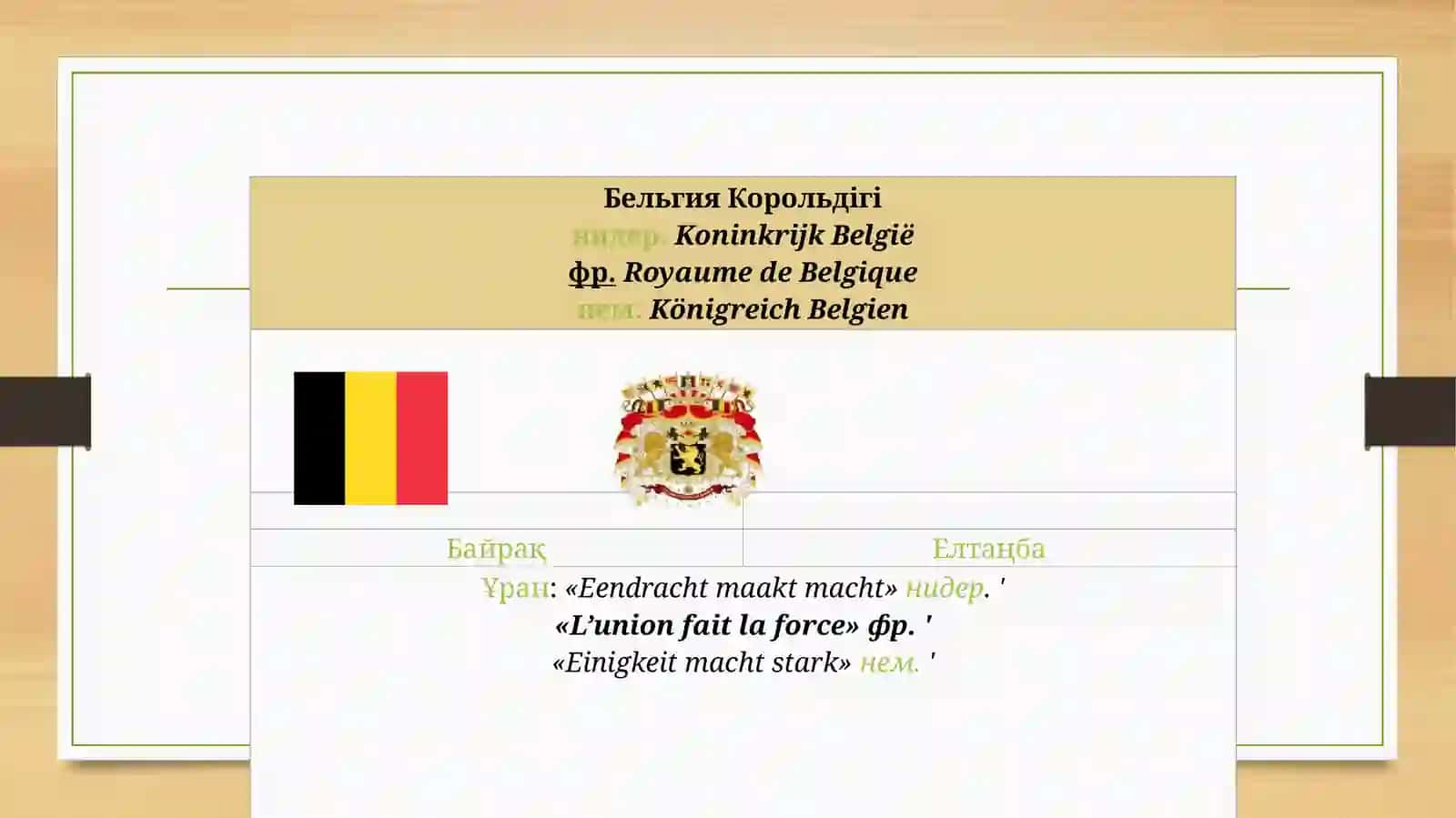 Бельгия мемлекети 3