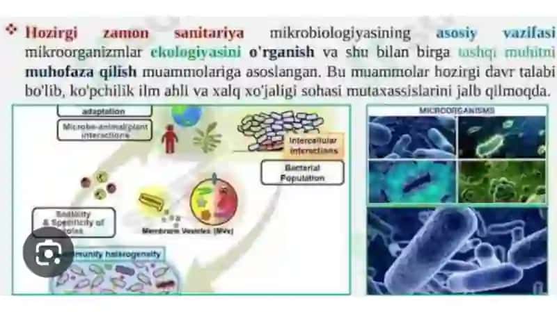 Mikroorganizmlarning ekologiyasi 3