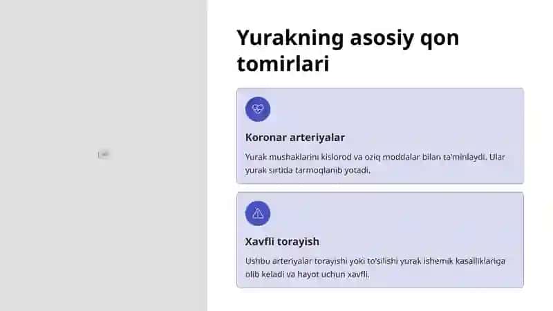 Yurakning qon bilan ta'minlanishi 3