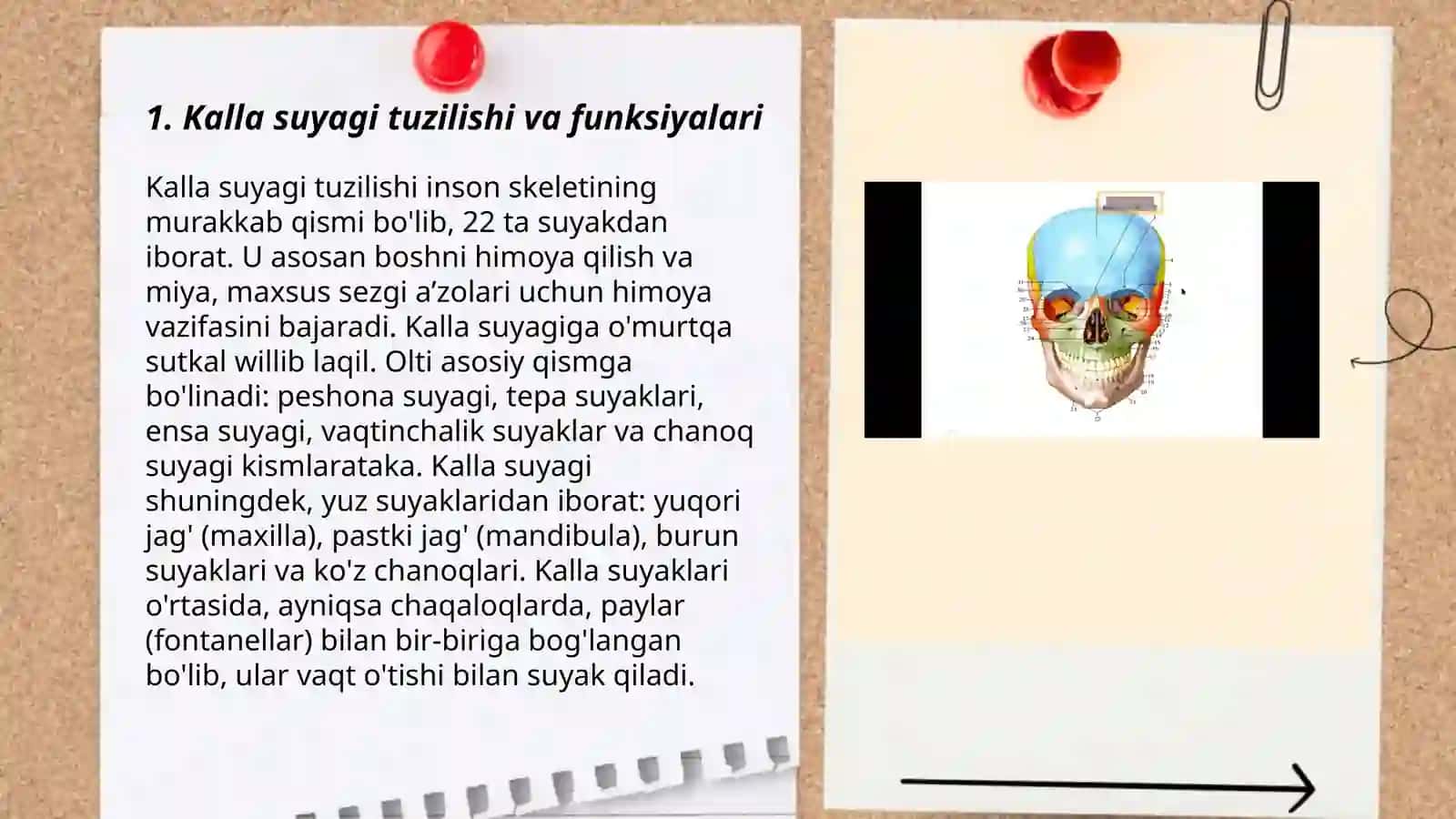 Kalla suyagi treponatsiyasi 3