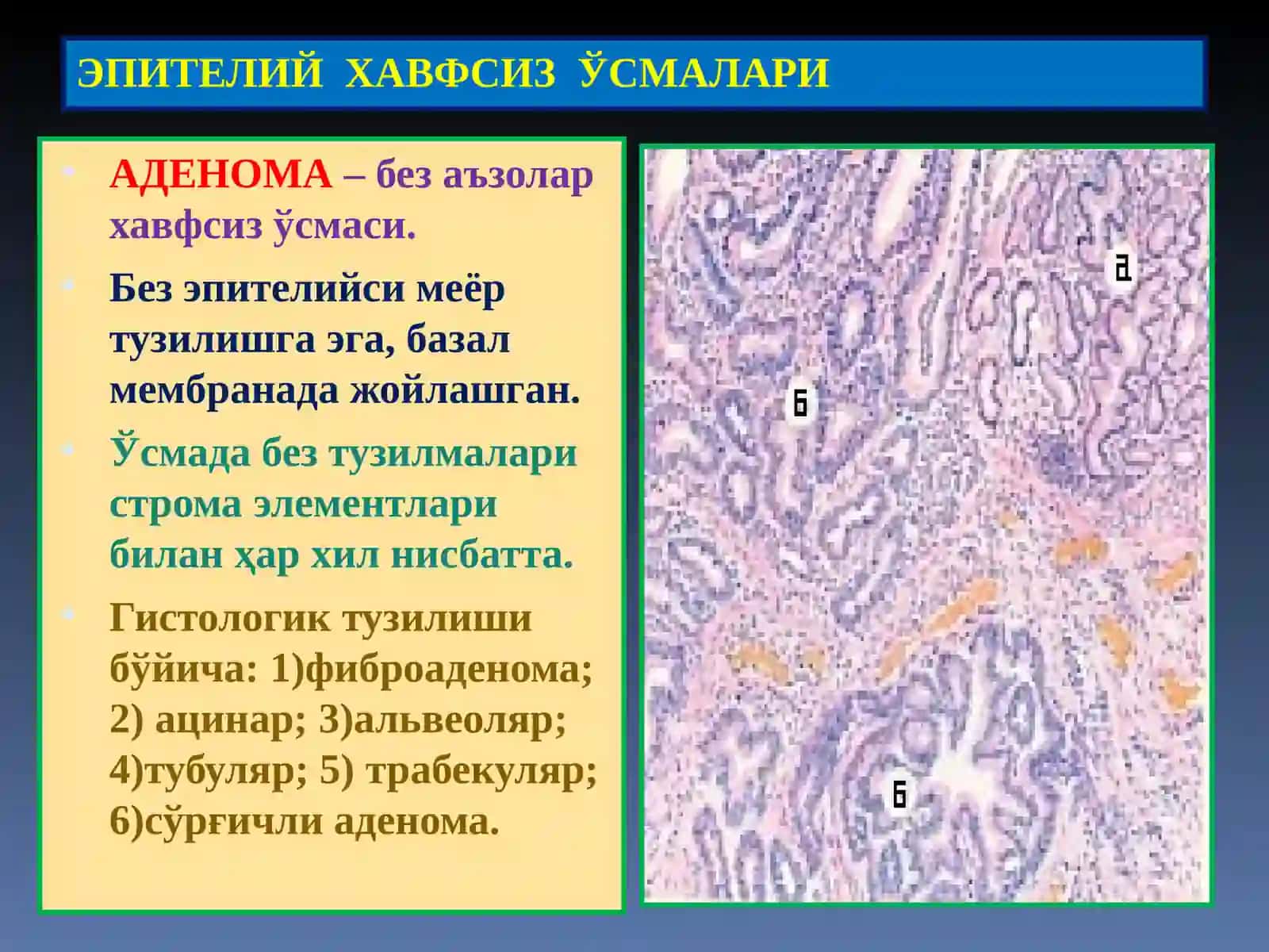 ЭПИТЕЛИЙ ХАВФСИЗЎСМАЛАРИ 3