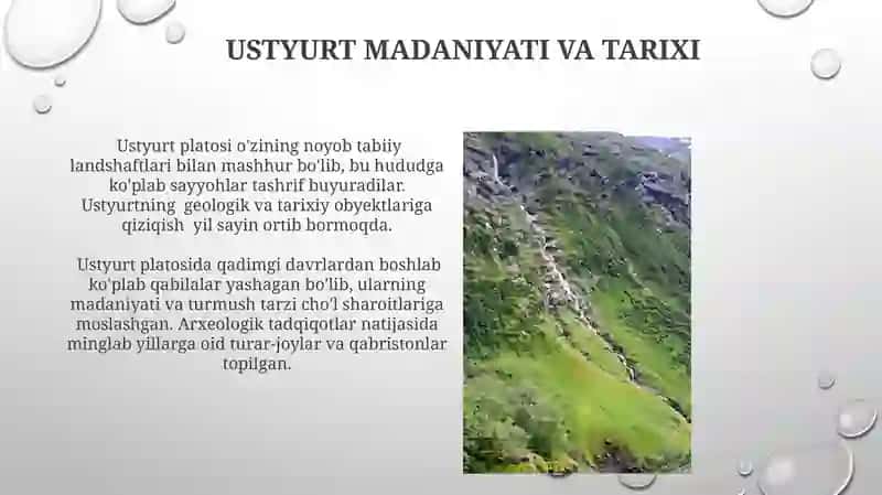 USTYURT PLATOSIGA TABIIY GEOGRAFIK TAVSIF 3
