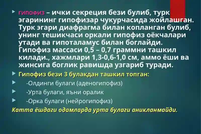ГИПОТАЛАМО-ГИПОФИЗАР СИСТЕМАГГС 3