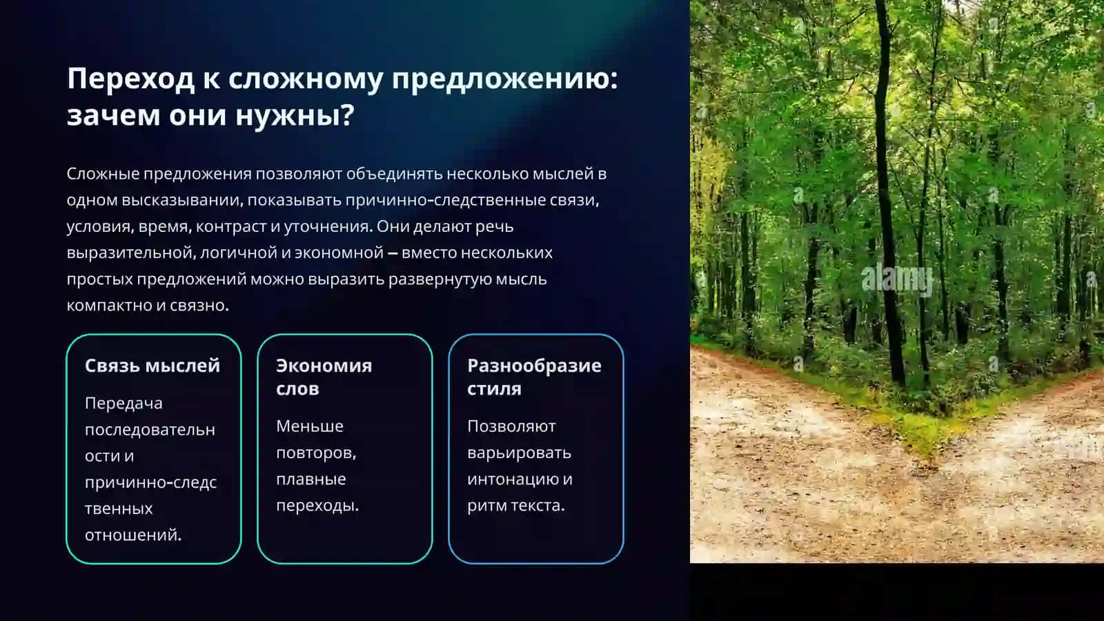 Краткая, но ёмкая презентация о сложном предложении: что это такое, какие существуют виды, как различать и правильно пунктуировать 3