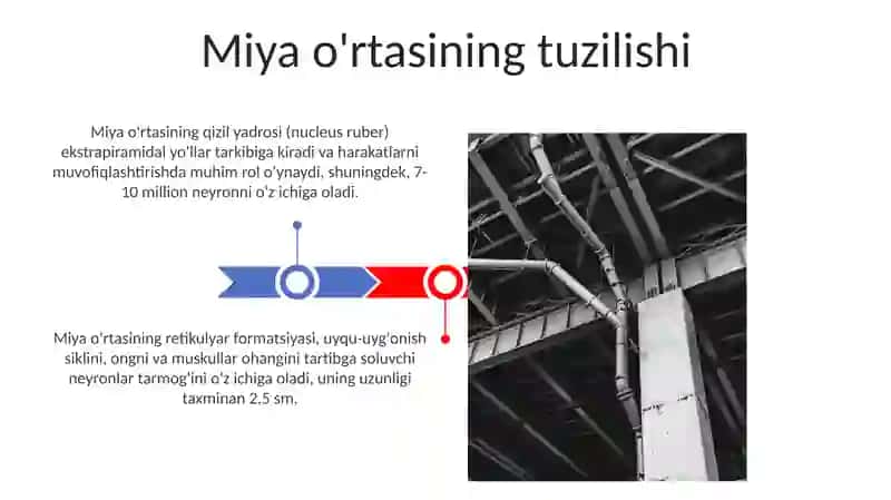 Miyachani tuzilishi 3
