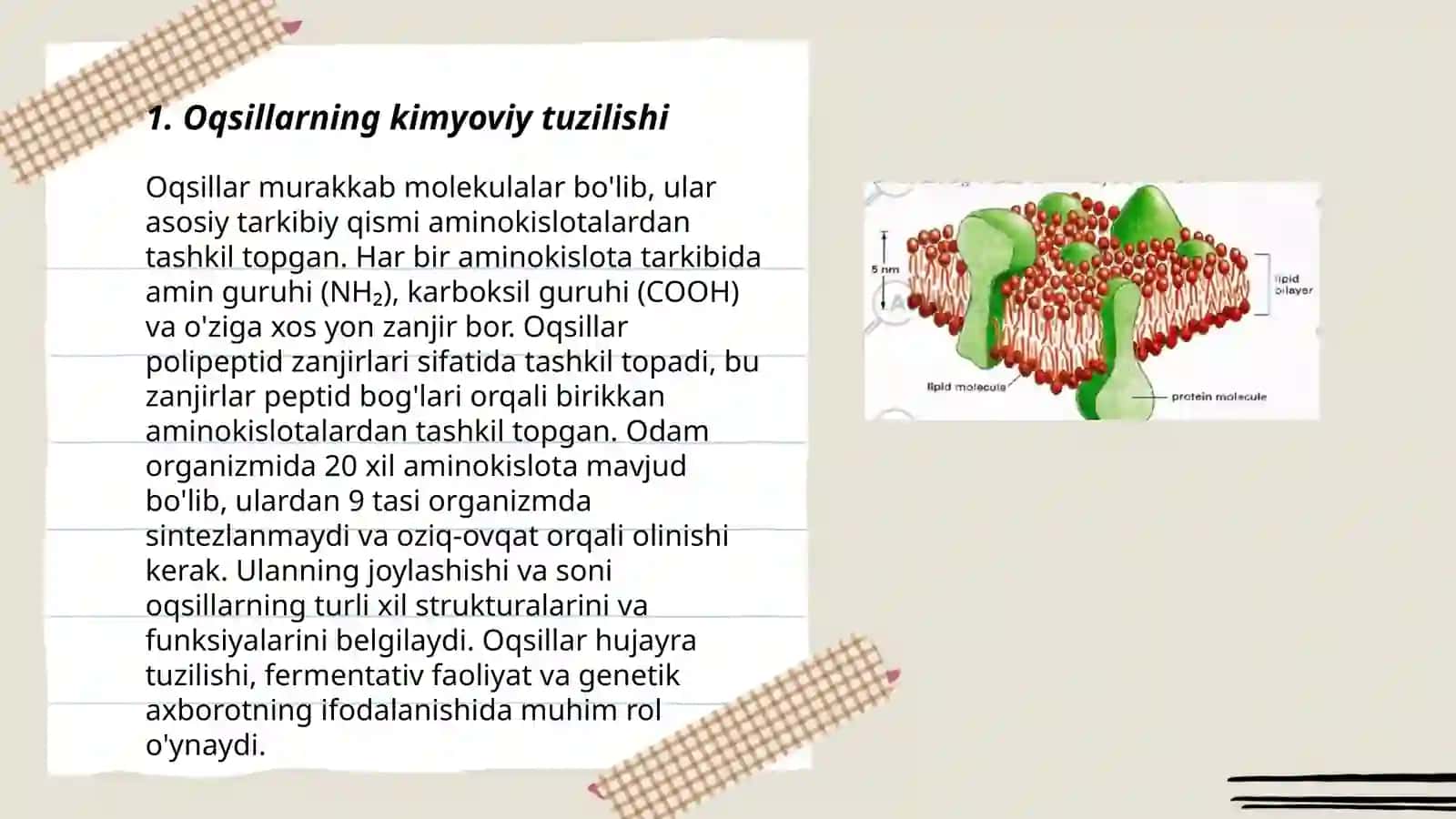 Oqsillar, lipidlar, uglevodlar 3