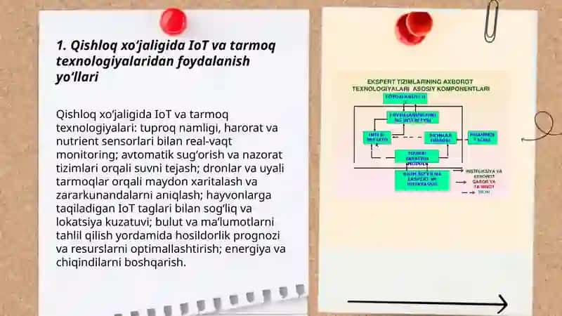 Xalq xoʻjaligining turli sohalari va tarmoqlarida tarmoq texnologiyalarida foydalanish yòllari 3