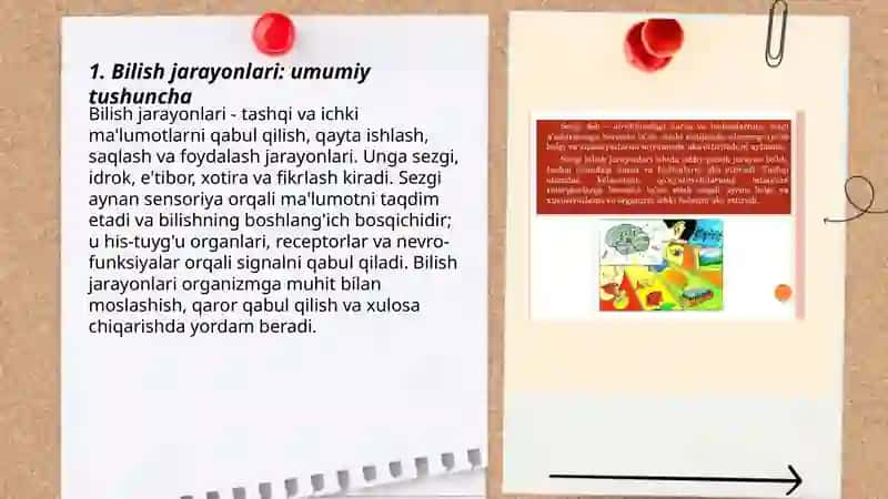 Bilish jarayonlari. Sezgi va uning xususiyati haqida tushuncha 3