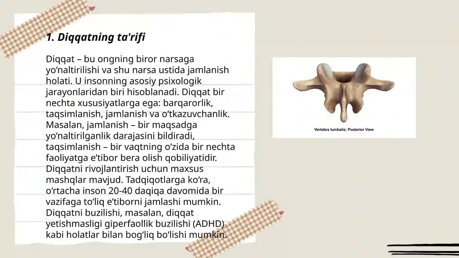 Begmamatova dilbar 3