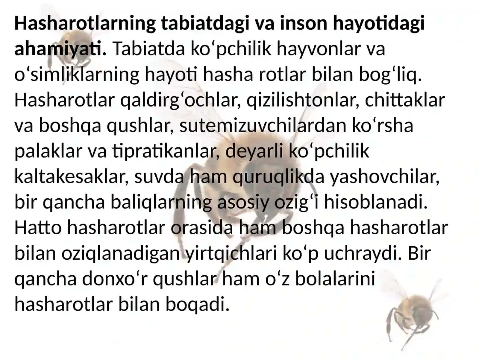Hasharotlarning kelib chiqishi va ahamiyati 3