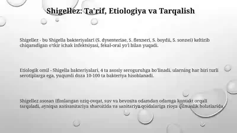 Shigellez: Epidemiologiya va Profilaktika 3