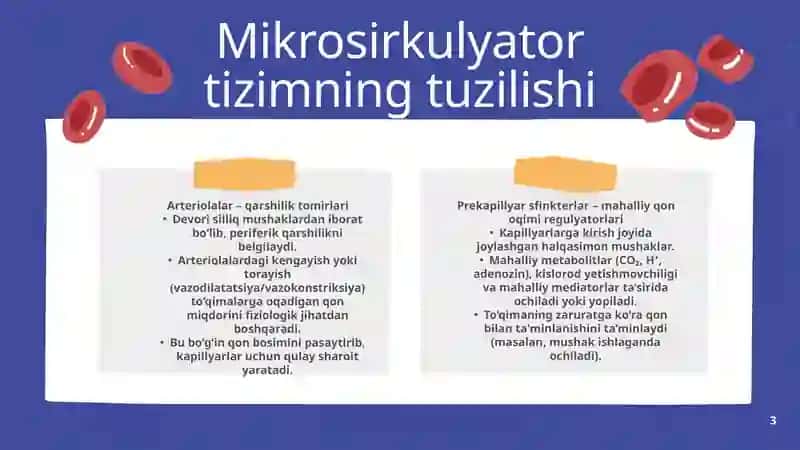 mikrosirkulyator havzada qon aylanishi 3
