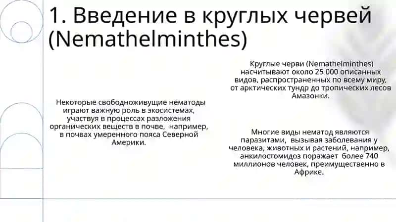 Круглые Черви (Nemathelminthes) 3