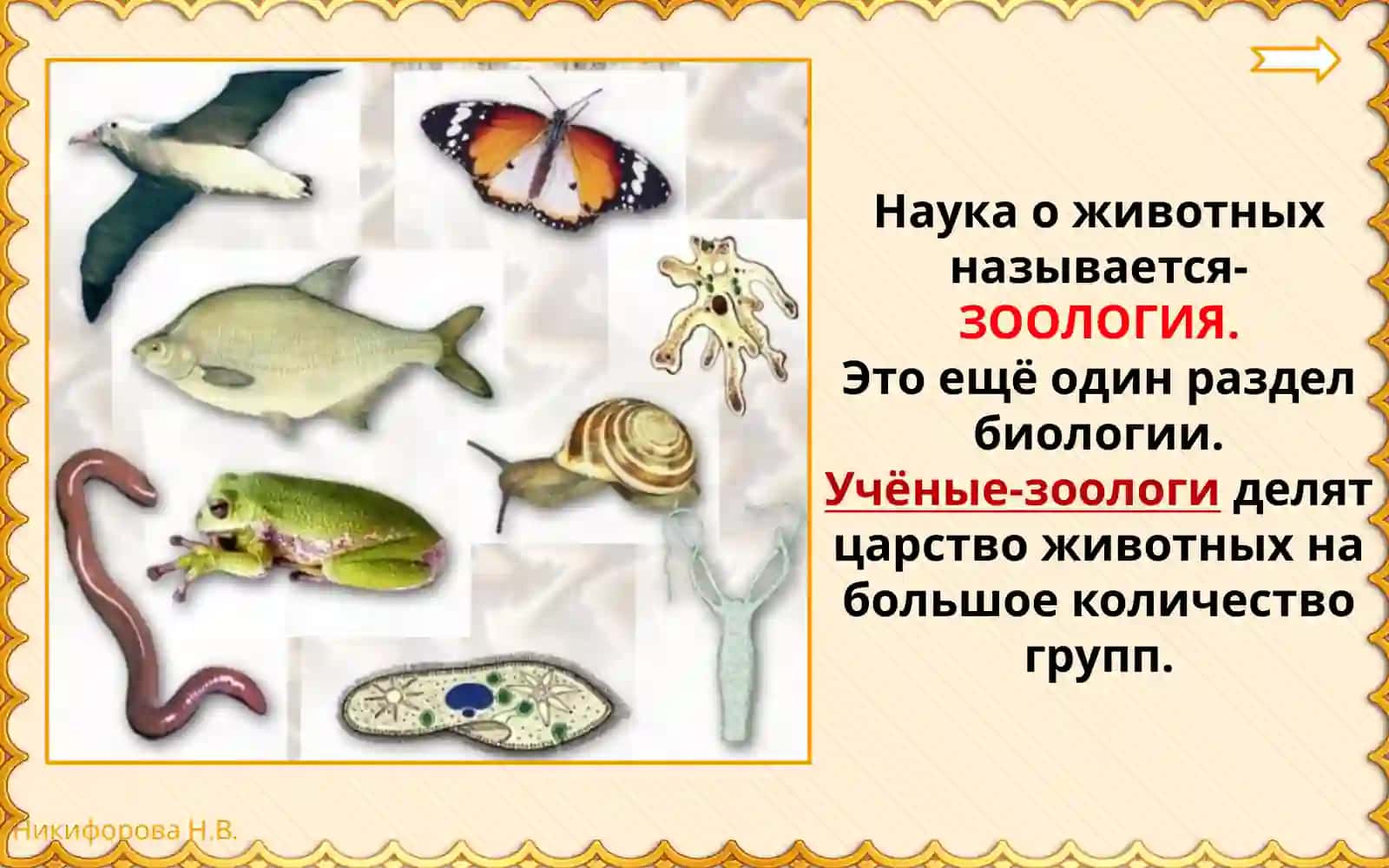 Животные 3
