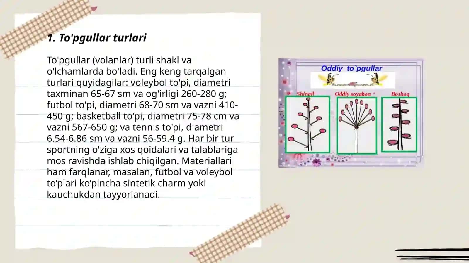 To'pgullar. Ularning tiplari va turlari 3