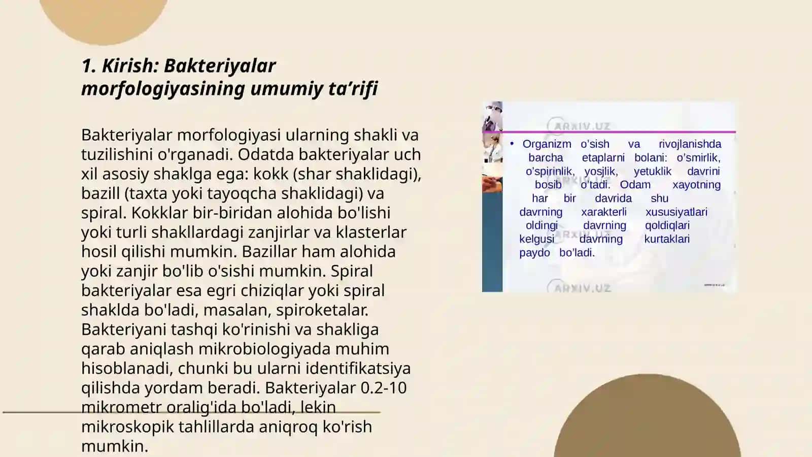 Bakteriya hujayralariningvs morfologik xususiyatlari 3