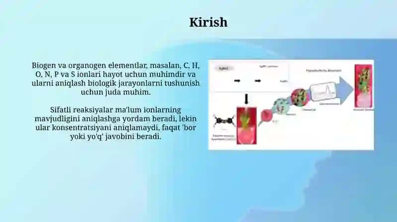 Biogen va organogen elementlar ionlariga sifat reaksiyalari 3