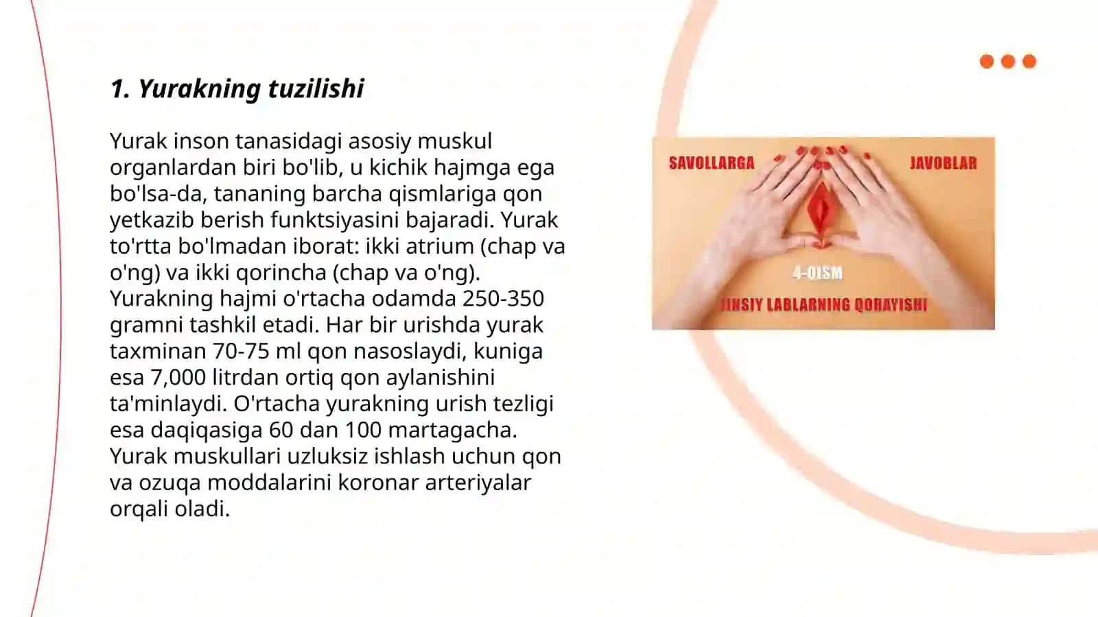 Yurakning tuzilishi 3