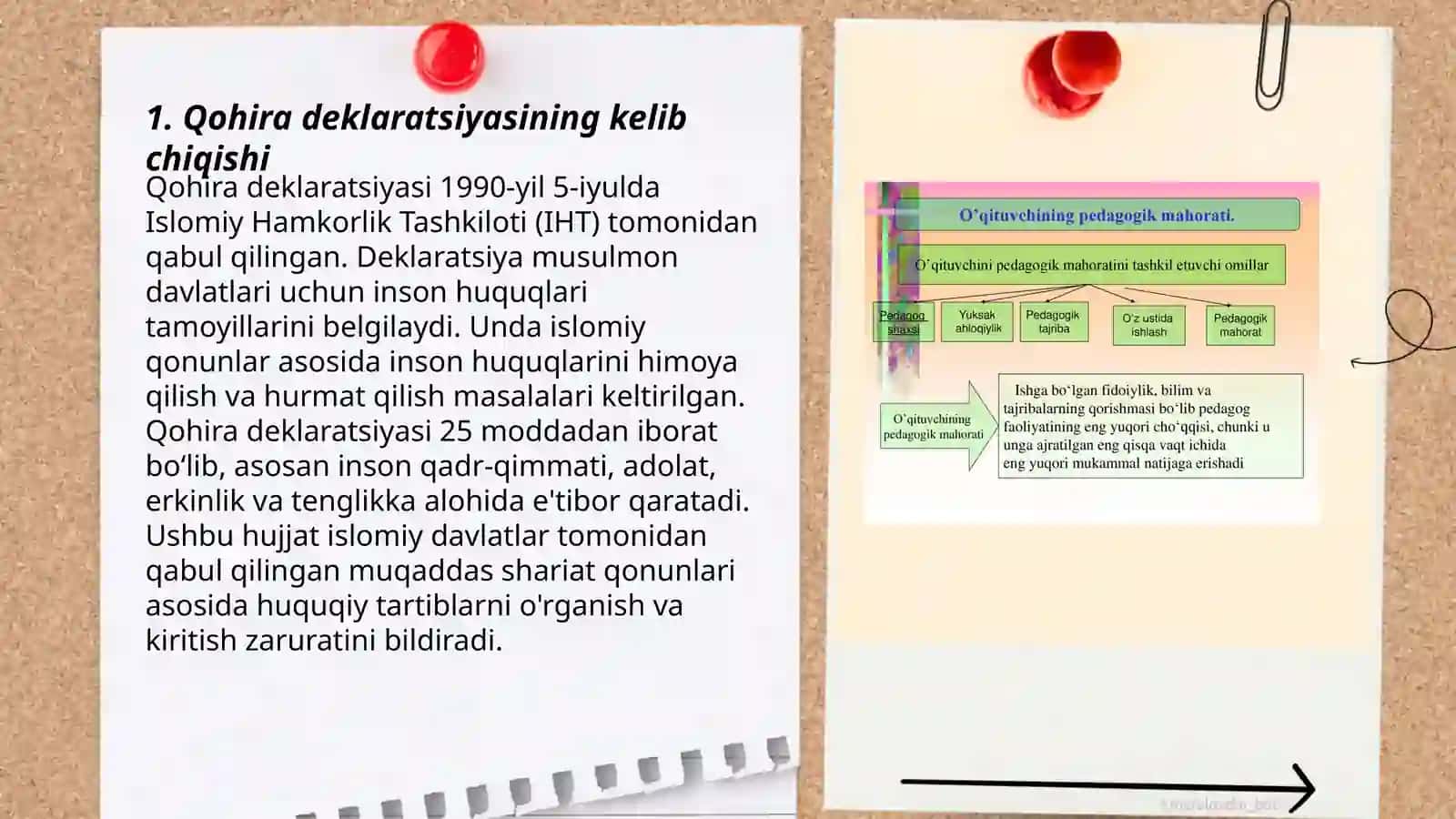 Qohira deklaratsiyasi tarixi va mazmuni 3